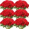 50 Realistic Silk Roses: Perfect for Home, Weddings, and Parties
